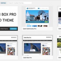 WordPress Child Theme