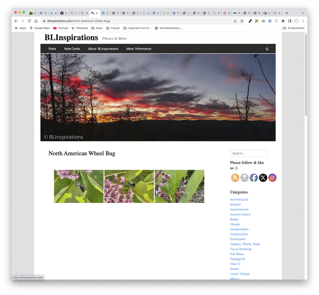 Screen-Shot-2025-08-19-at-10-36-53-AM