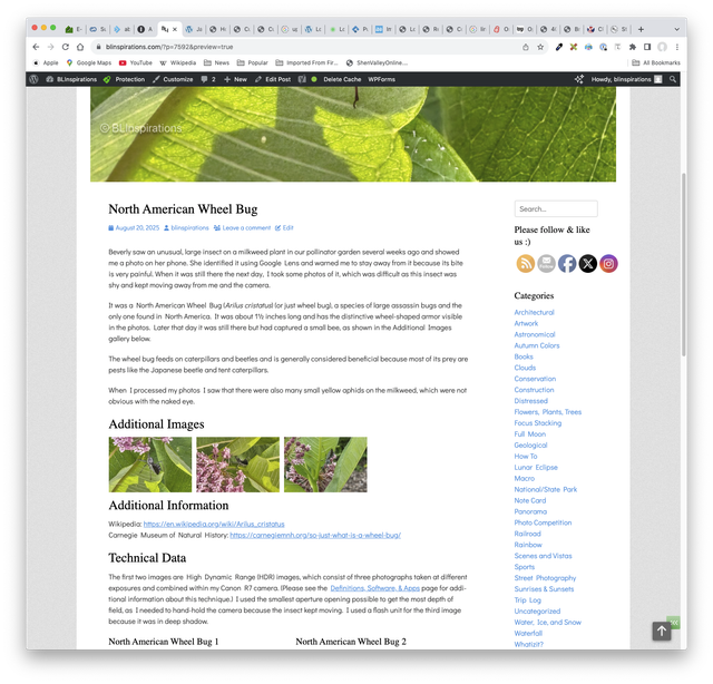 Screen-Shot-2025-08-20-at-10-02-26-AM